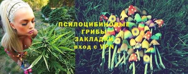 ешки Богданович