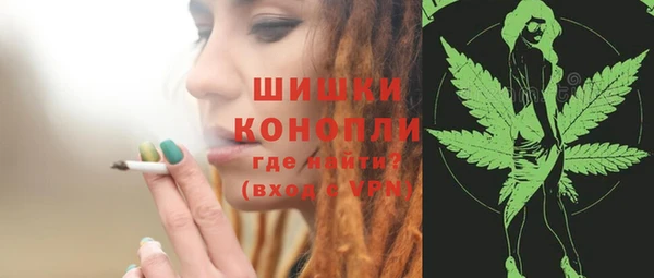 ешки Богданович