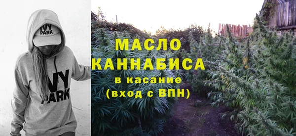 ECSTASY Богородск