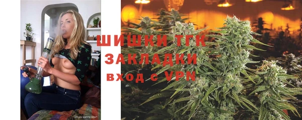 ешки Богданович