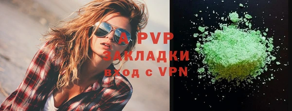 ешки Богданович