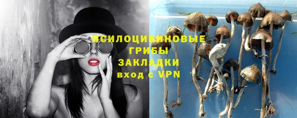 ешки Богданович