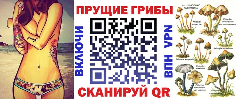 Псилоцибиновые грибы Psilocybe  omg сайт  Коркино 